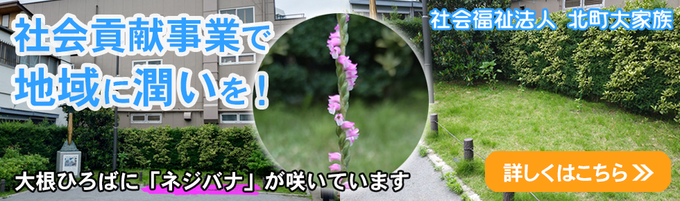 ネジバナ記事へ